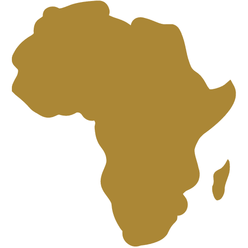 the African continent in gold